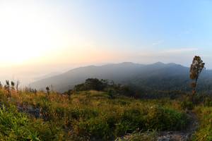 BIB: 
                            <button type="button" onclick="openModal(13576028)" class="btn btn-primary btn-sm float-right btn-popup" data-toggle="modal" data-target=".modal-high-quality">
                        <i class="fas fa-shopping-cart"></i> Add to Cart
                    </button>
                                            <button type="button" onclick="isThisMe(13576028, true)" class="btn btn-success btn-sm float-right btn-popup btn-isme hidden" data-toggle="tooltip" data-placement="bottom" title="นี่คือรูปของคุณใช่ไหม คลิกที่นี่เพื่อเอาเข้าอัลบั้ม">
                        <i class="fas fa-plus"></i> Add to album
                    </button>
                    <button type="button" onclick="isThisMe(13576028, false)" class="btn btn-warning btn-sm float-right btn-popup btn-isnotme hidden">
                        <i class="fas fa-ban"></i> Remove from album
                    </button>